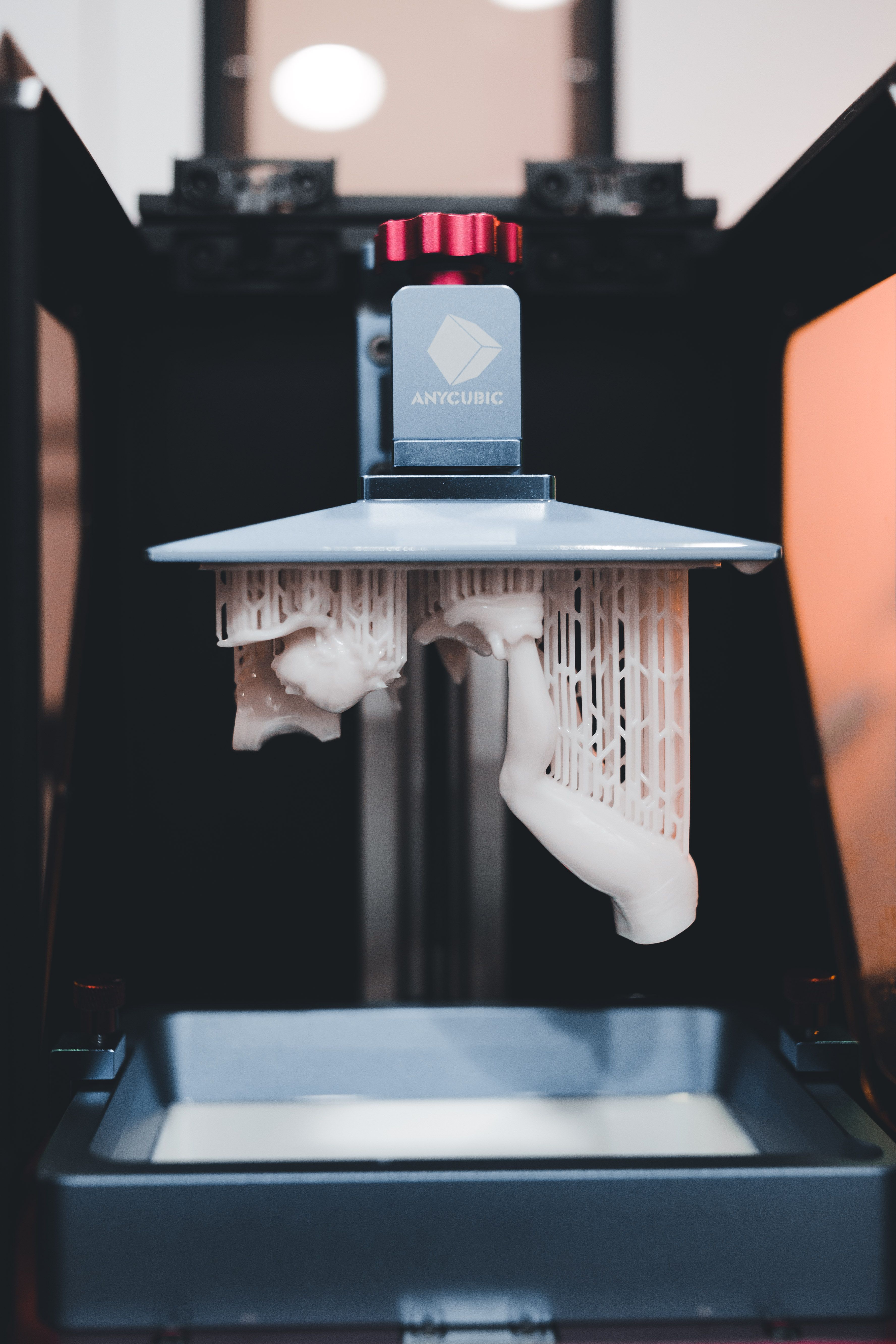 Anycubic Kobra S1 Combo — exemplu